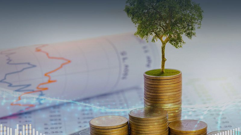战略咨询落地执行：解码高效企业变革之路